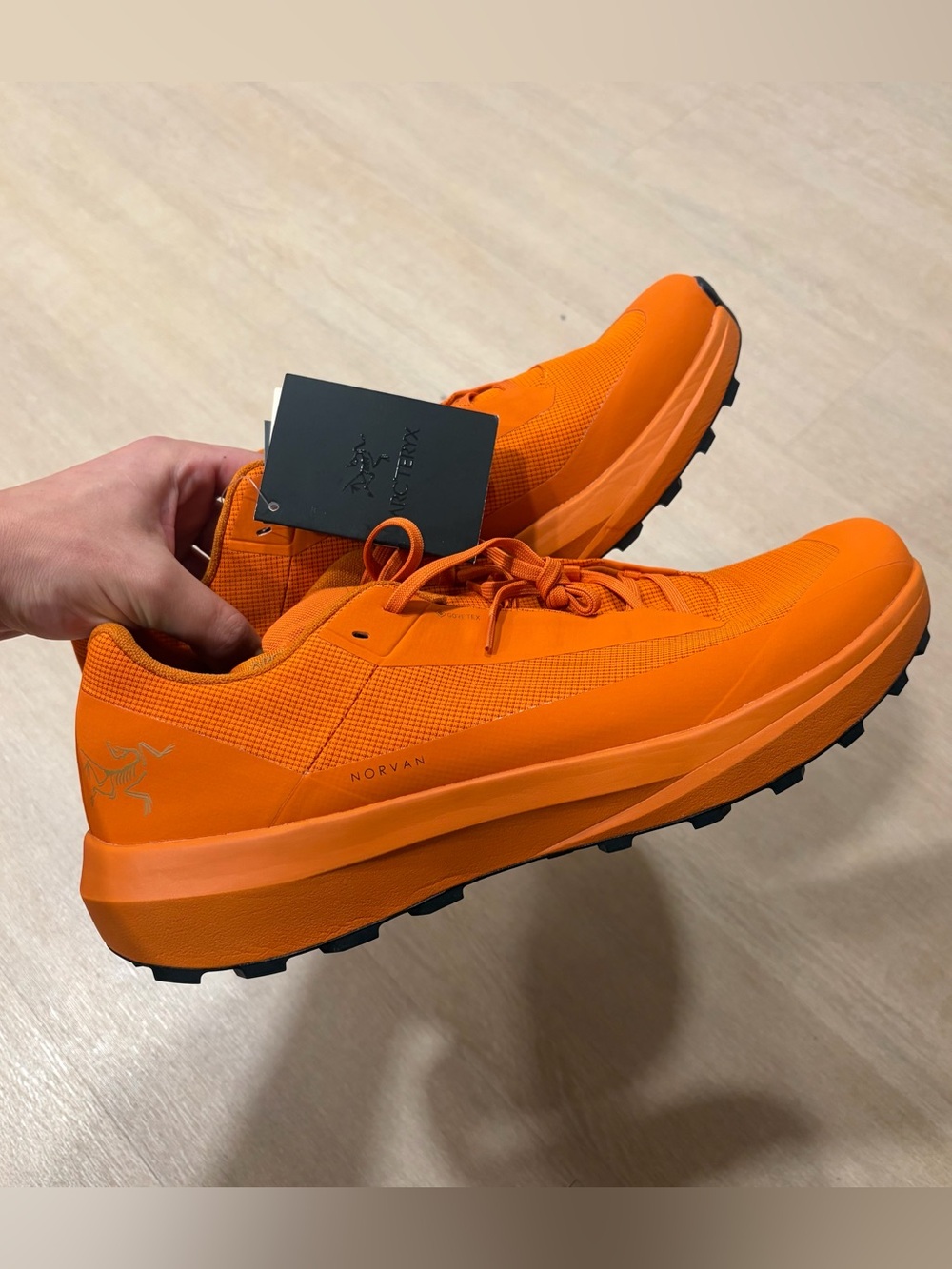 Arc’teryx Norvan LD GTX